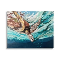 A Stupell Industries fröccsenő tengeri teknős búvárkodás az óceán felszíni festmény galéria becsomagolt vászon nyomtatott fali