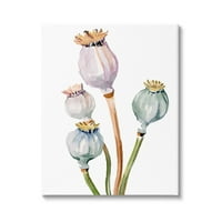 Stupell Industries Pasztell Mák Hüvelyek Akvarell Botanikai & Virágos Festmény Galéria Csomagolt Vászon Nyomtatás Wall Art