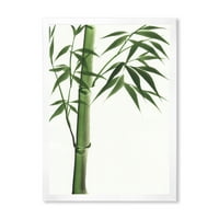 Designart 'A sötétzöld bambusz részletei a fehér III -on' hagyományos keretes művészet nyomtatás