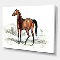 Ősi lófestés vászon művészeti nyomtatás