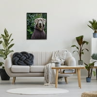 Stupell Industries Labrador kutya pulóvert visel kapucnis részletes fényképezés fénykép fekete keretes Művészeti nyomtatás Wall