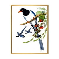 Vintage vidéki madarak a IV IV keretes festmény vászon művészete
