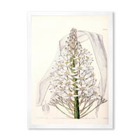 Designart 'White Vintage Orchid I' hagyományos keretes művészeti nyomtatás