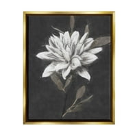 Stupell Industries hagyományos fehér dahlia virággraphic art fém arany úszó keretes vászon nyomtatott fali művészet, Nina Blue