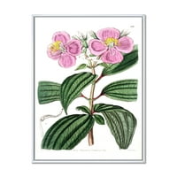Ősi növényi élet xxiii keretes festmény vászon művészeti nyomtatás