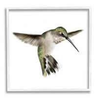Stupell Industries zöld kolibri lebegő szárnyak repülõ madár csőr grafikus fehér keretes művészet nyomtatott fali művészet, stúdió