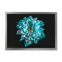 DesignArTART 'Virág közelképe fehér és kék szirmokkal hagyományos keretes művészeti nyomtatás