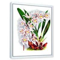 Designart 'White Vintage Orchide Flower II' 'Hagyományos keretes vászon fali művészet