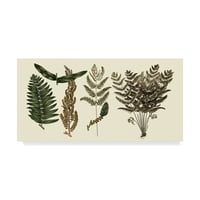 Védjegy Szépművészet 'Fern Leaf folio i' Canvas Art készítette: Georg C. Oeder